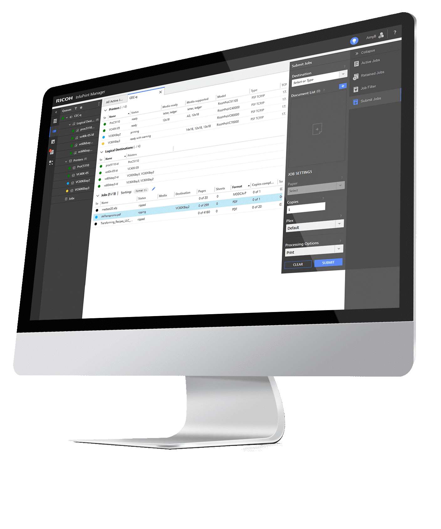 InfoPrint manager Image